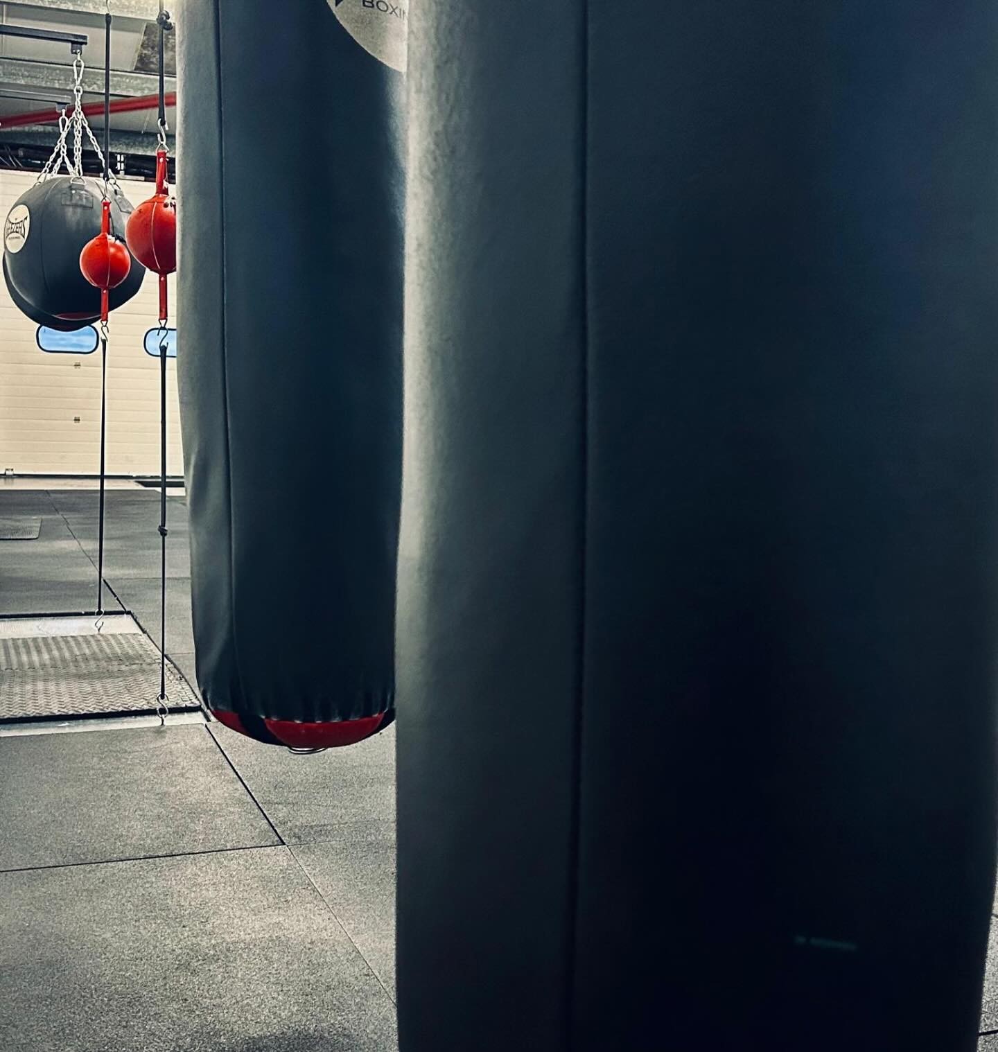 Heavy bags ready for a BOX30 session
